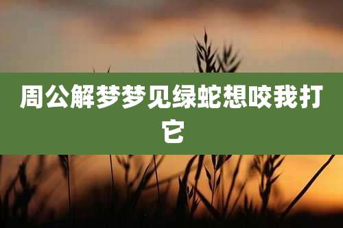 周公解梦梦见绿蛇想咬我打它