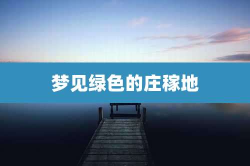 梦见绿色的庄稼地