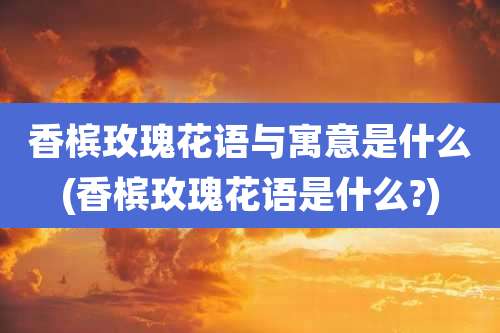 香槟玫瑰花语与寓意是什么(香槟玫瑰花语是什么?)