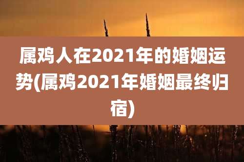 属鸡人在2021年的婚姻运势(属鸡2021年婚姻最终归宿)