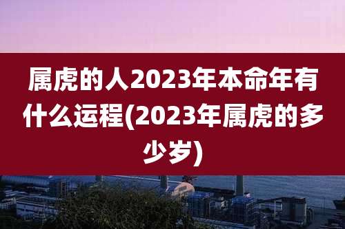 属虎的人2023年本命年有什么运程(2023年属虎的多少岁)