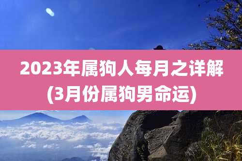 2023年属狗人每月之详解(3月份属狗男命运)