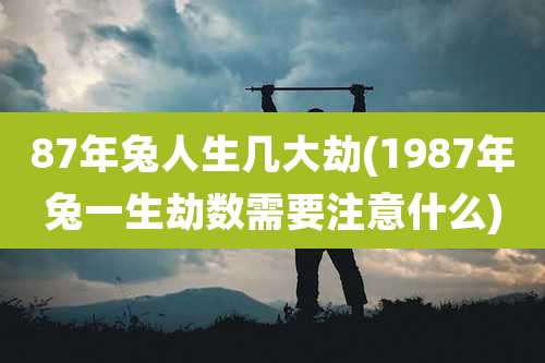 87年兔人生几大劫(1987年兔一生劫数需要注意什么)