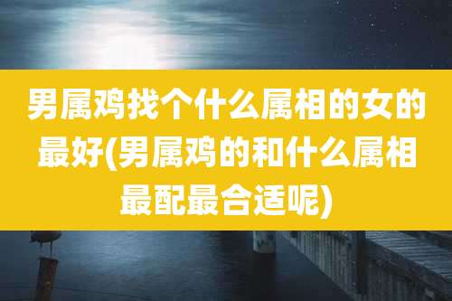 男属鸡找个什么属相的女的最好(男属鸡的和什么属相最配最合适呢)