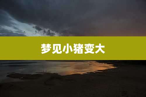 梦见小猪变大
