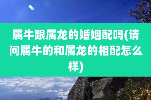 属牛跟属龙的婚姻配吗(请问属牛的和属龙的相配怎么样)