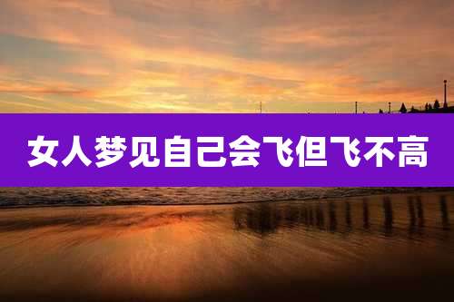 女人梦见自己会飞但飞不高