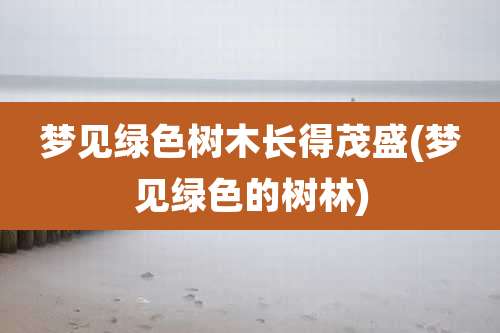 梦见绿色树木长得茂盛(梦见绿色的树林)