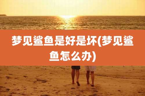 梦见鲨鱼是好是坏(梦见鲨鱼怎么办)