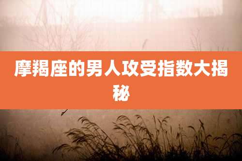 摩羯座的男人攻受指数大揭秘