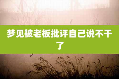 梦见被老板批评自己说不干了