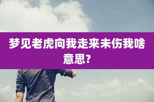 梦见老虎向我走来未伤我啥意思?