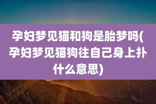 孕妇梦见猫和狗是胎梦吗(孕妇梦见猫狗往自己身上扑什么意思)