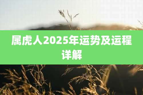 属虎人2025年运势及运程详解