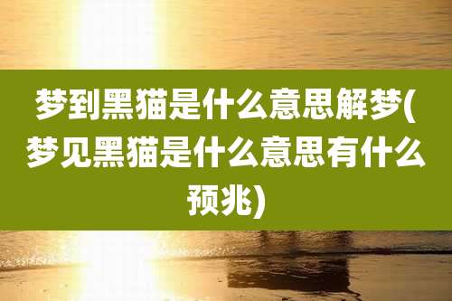 梦到黑猫是什么意思解梦(梦见黑猫是什么意思有什么预兆)