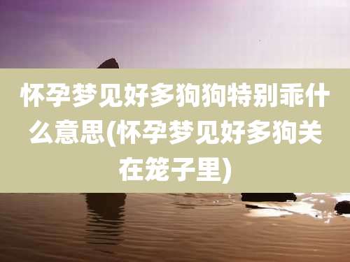 怀孕梦见好多狗狗特别乖什么意思(怀孕梦见好多狗关在笼子里)