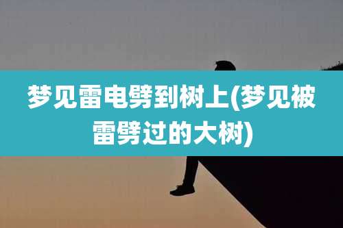 梦见雷电劈到树上(梦见被雷劈过的大树)