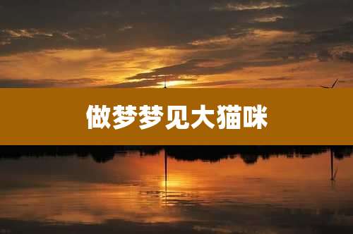 做梦梦见大猫咪