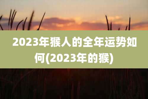2023年猴人的全年运势如何(2023年的猴)