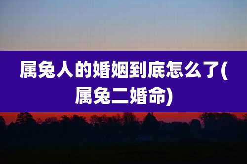 属兔人的婚姻到底怎么了(属兔二婚命)