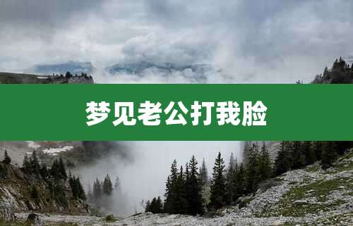 梦见老公打我脸