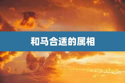 和马合适的属相