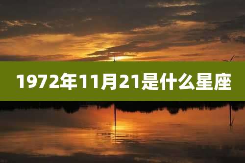 1972年11月21是什么星座