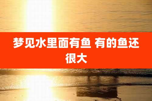 梦见水里面有鱼 有的鱼还很大