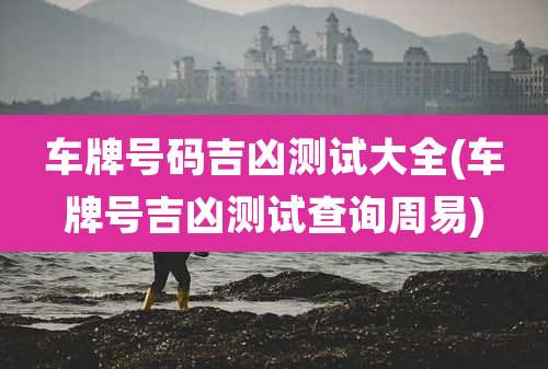 车牌号码吉凶测试大全(车牌号吉凶测试查询周易)