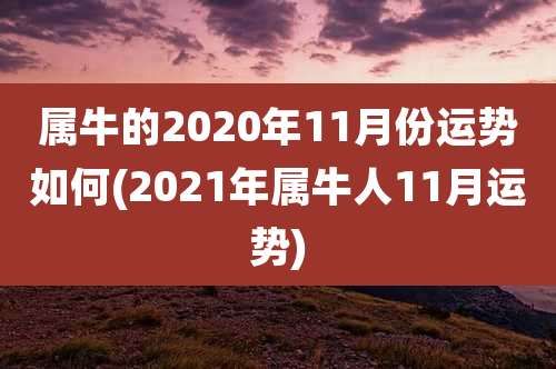 属牛的2020年11月份运势如何(2021年属牛人11月运势)