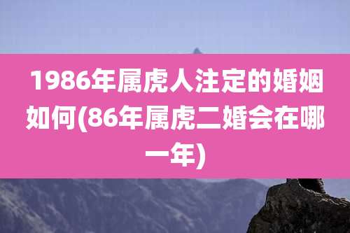 1986年属虎人注定的婚姻如何(86年属虎二婚会在哪一年)