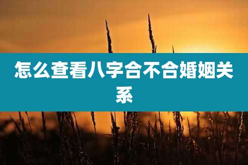 怎么查看八字合不合婚姻关系