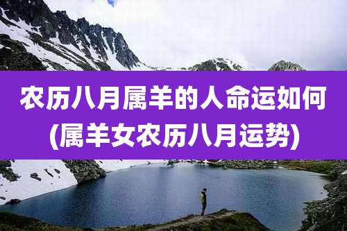 农历八月属羊的人命运如何(属羊女农历八月运势)