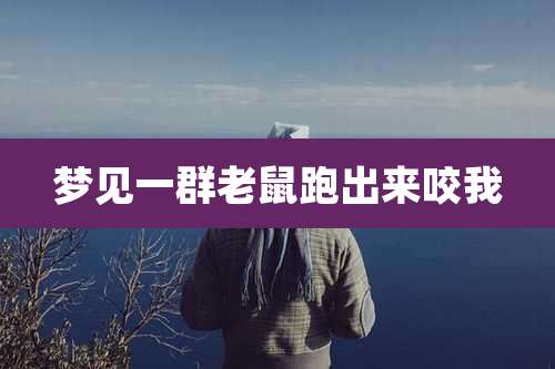 梦见一群老鼠跑出来咬我