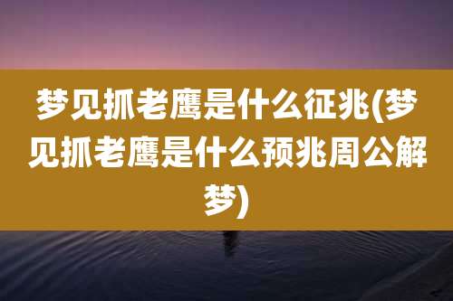 梦见抓老鹰是什么征兆(梦见抓老鹰是什么预兆周公解梦)