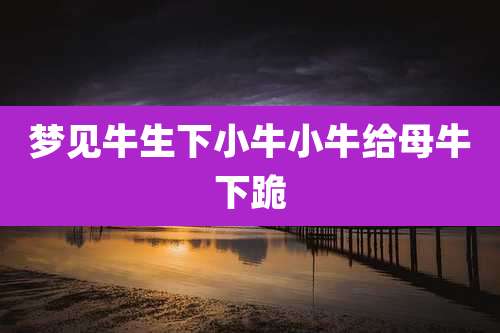 梦见牛生下小牛小牛给母牛下跪