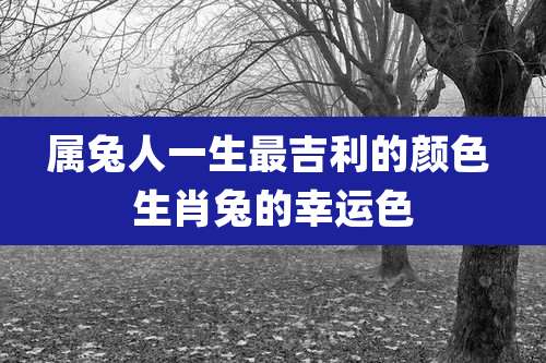 属兔人一生最吉利的颜色 生肖兔的幸运色