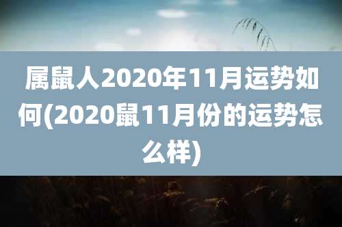 属鼠人2020年11月运势如何(2020鼠11月份的运势怎么样)