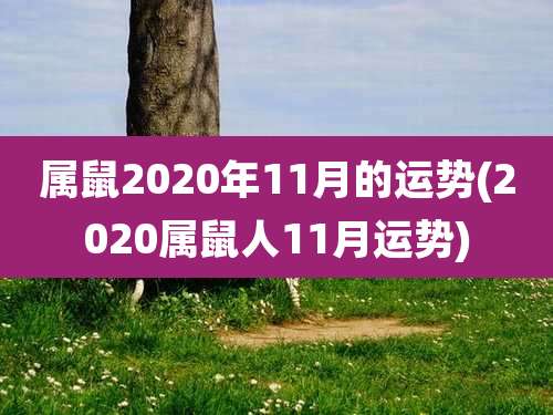 属鼠2020年11月的运势(2020属鼠人11月运势)