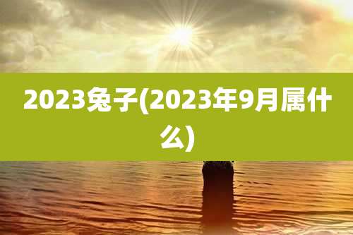 2023兔子(2023年9月属什么)