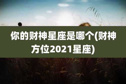 你的财神星座是哪个(财神方位2021星座)