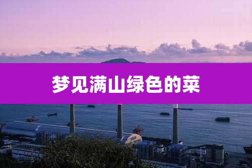 梦见满山绿色的菜