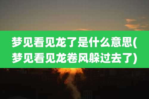 梦见看见龙了是什么意思(梦见看见龙卷风躲过去了)