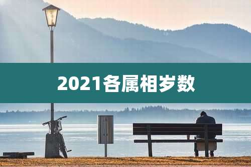 2021各属相岁数