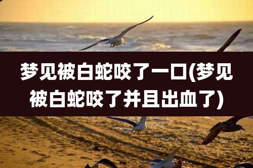梦见被白蛇咬了一口(梦见被白蛇咬了并且出血了)