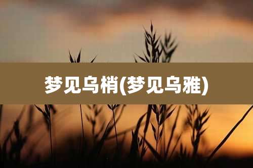 梦见乌梢(梦见乌雅)
