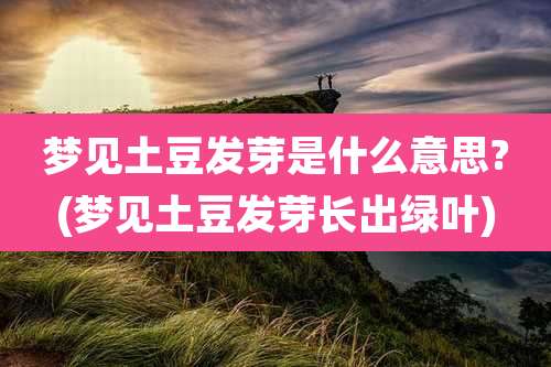 梦见土豆发芽是什么意思?(梦见土豆发芽长出绿叶)