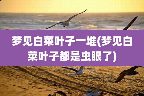 梦见白菜叶子一堆(梦见白菜叶子都是虫眼了)