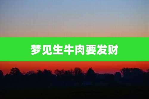 梦见生牛肉要发财