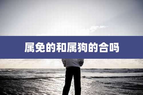 属免的和属狗的合吗